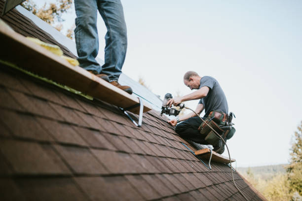 Best Roof Gutter Cleaning  in Franklin, OH